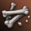 Spinebone Fragment