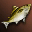 Yellow Nimble Fish - For Beginners