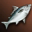 White Nimble Fish - Upper Grade