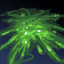 Poison Vulnerability